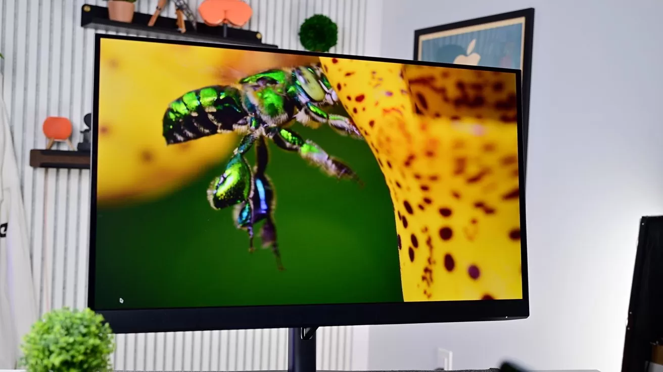 Computer monitor on a desk displaying a vivid close-up of a metallic green insect on a yellow spotted surface, with blurred home office decor and plants in the background