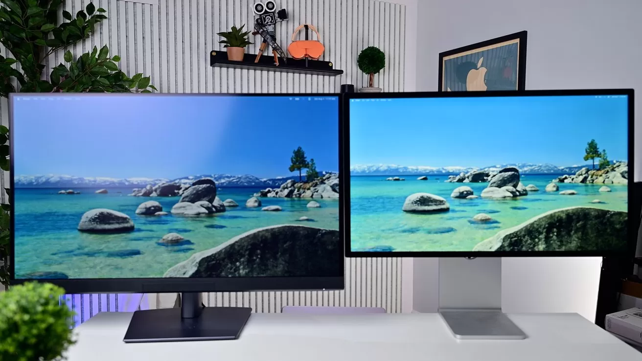 Two computer monitors on a desk displaying the same scenic beach with turquoise water and rocks, in a modern office with shelves, plants, and framed wall art in the background