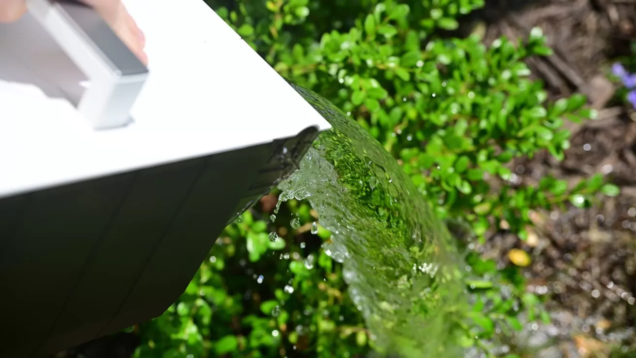 Water pouring from a white container or gutter onto green leafy plants in a sunlit garden, with soil and small purple flowers visible in the background