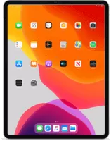 iPad Pro 4 (11-inch, Cellular)